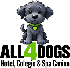 All4Dogs · hotel, colegio y spa canino